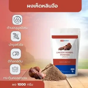 Lingzhi Herbal Powder