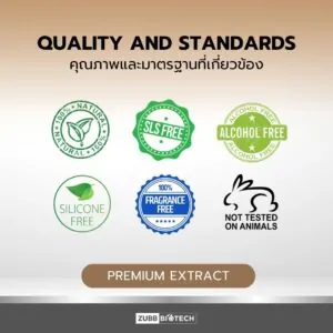 Lion's Mane Powder - 10