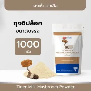Tiger Milk Mushroom Powder - 12