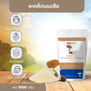 Tiger Milk Mushroom Powder - 02