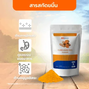 CURCUMIN 95% Extract Powder