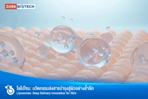 ไลโปโซมสำหรับผิว: นวัตกรรมการนำส่งสารบำรุงล้ำลึก