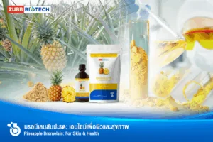 สารสกัดบรอมีเลน (Bromelain Extract) จากสับปะรด
