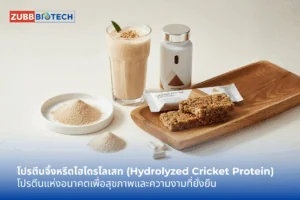 โปรตีนจิ้งหรีดไฮโดรไลเสท โปรตีนแห่งอนาคตเพื่อสุขภาพและความงามที่ยั่งยืน
