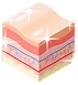 Combination skin