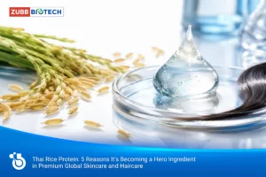 โปรตีนข้าวไทย (Rice Protein): 5 เหตุผลที่กลายเป็นสารหลักของผลิตภัณฑ์ดูแลเส้นผมและสกินแคร์พรีเมียมระดับโลก สารสกัด, โรงงานผลิตเครื่องสำอาง, รับผลิตเครื่องสำอาง, OEM เครื่องสำอาง, โปรตีนข้าว, Rice Protein, ข้าวไทย, สารสกัดไทย, Hero Ingredient, ทรัพย์ ไบโอเทค