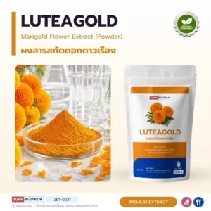 สารสกัดดาวเรือง LUTEAGOLD ผงสารสกัดลูทีนจากดอกดาวเรือง
