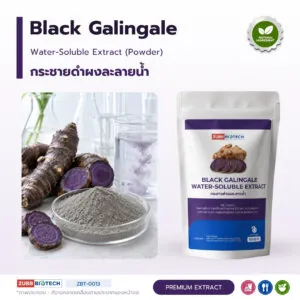 BLACK GALINGALE WATER-SOLUBLE EXTRACT