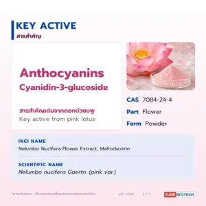 PINK LOTUS EXTRACT (POWDER)