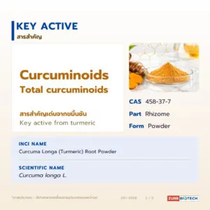 แป้งขมิ้นแท้ วัตถุดิบขมิ้นชันอเนกประสงค์ (Turmeric Flour / Curcuma longa)