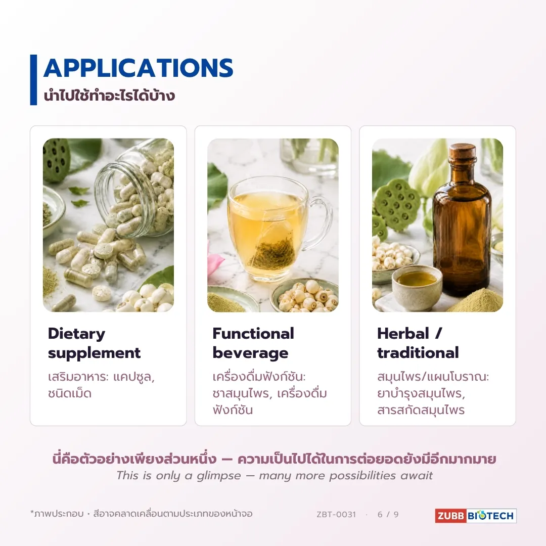 ดีบัวอบแห้ง เครื่องยาไทยรสขม อุดมอัลคาลอยด์ (Lotus Plumule / Nelumbo nucifera Embryo)